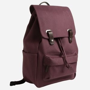 Everlane Canvas Snap Backpack - Burgundy and Brown leather